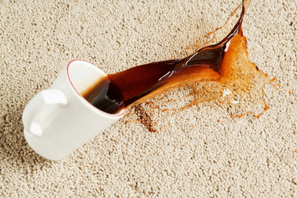 Как вывести пятна кофе с ковра